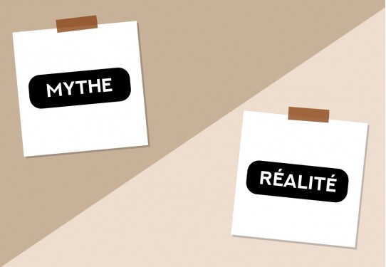 MYTHE VS RÉALITÉ MYTHE VS RÉALITÉ